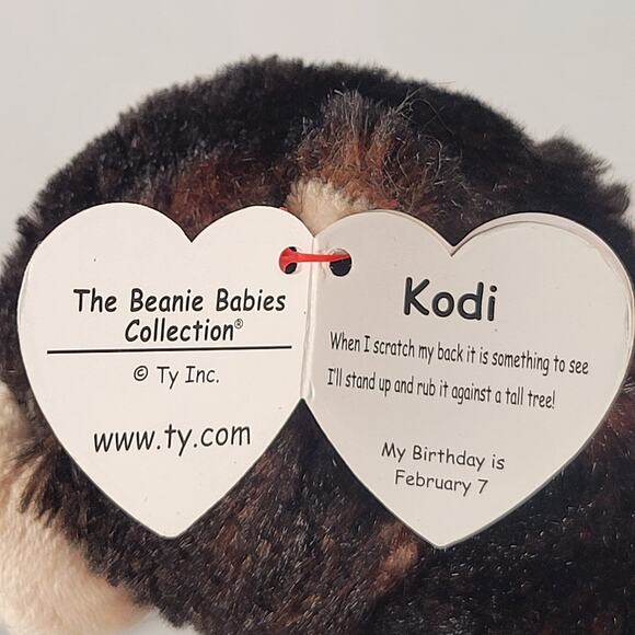 Ty Beanie Baby Kodi Bear Plush Toy 6" Brown Black Stuffed Animal with Tags - Picture 14 of 16